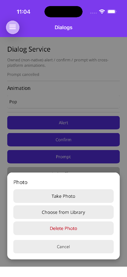Action Sheet