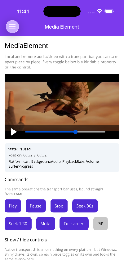 The same player with the volume, time labels and fullscreen toggle hidden