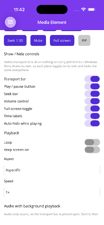 Each transport control toggled independently from the sample app