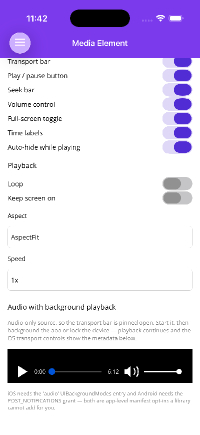 An audio-only player with the transport bar pinned open and background playback enabled