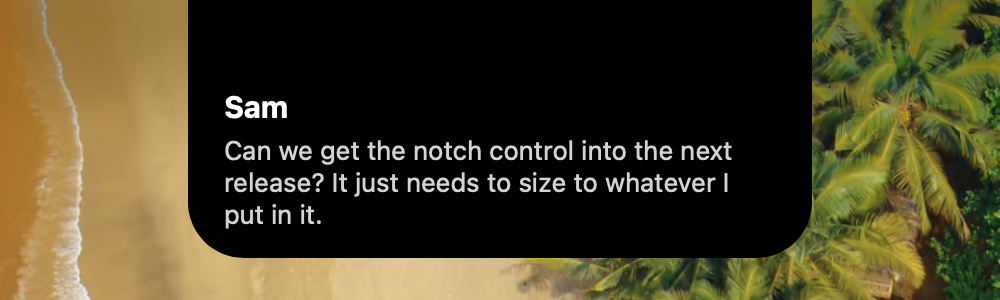 The camera notch sized to a message with a sender name and three lines of wrapped text