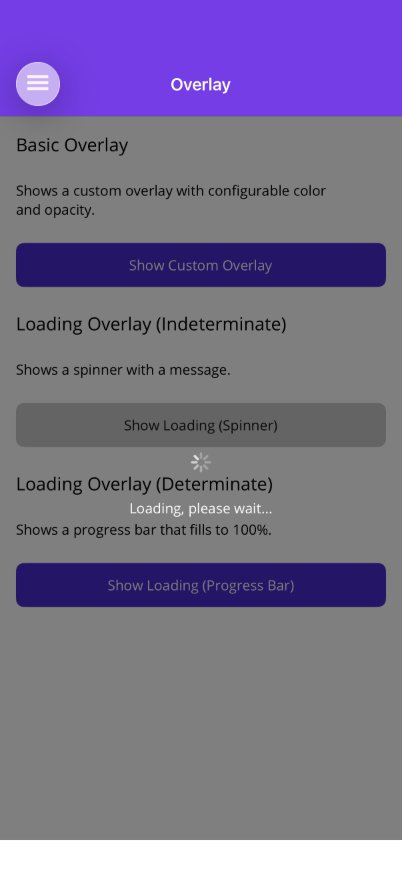 Loading Spinner