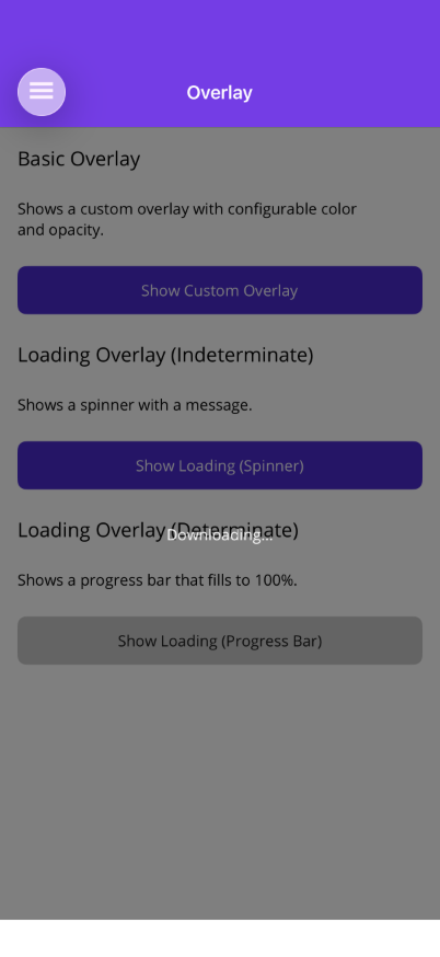Loading Progress