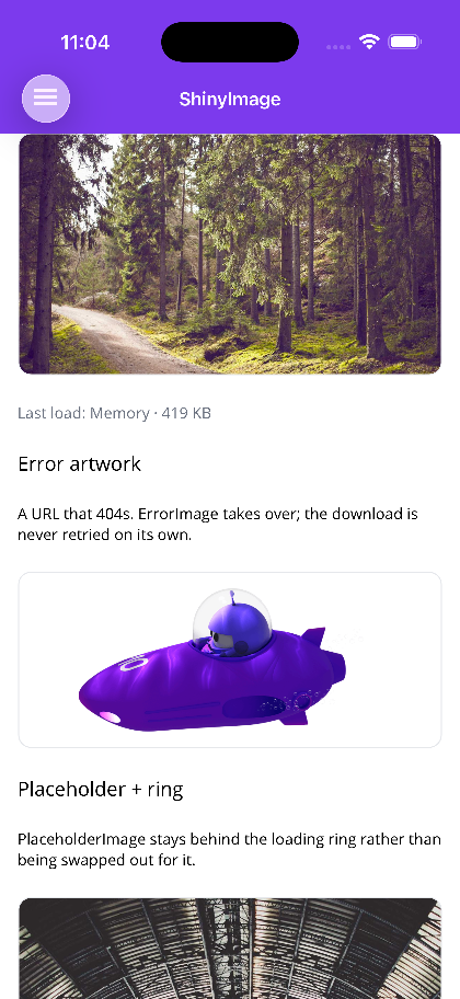 A loaded photo, the built-in error glyph for a 404, and the placeholder section