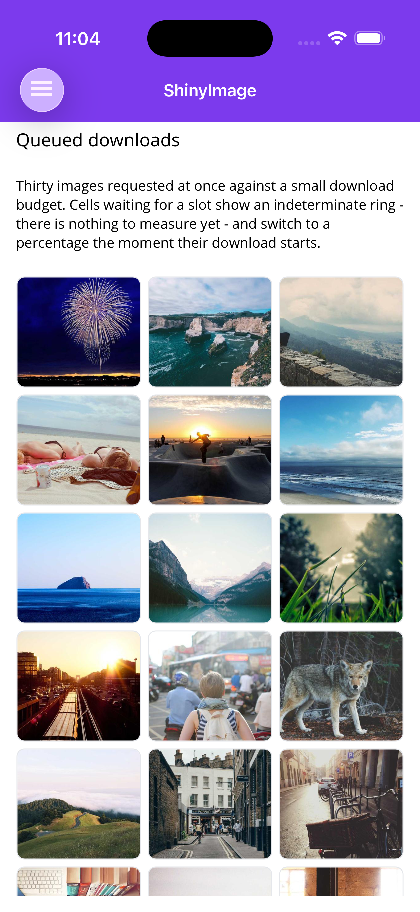 Thirty images sharing a small download budget
