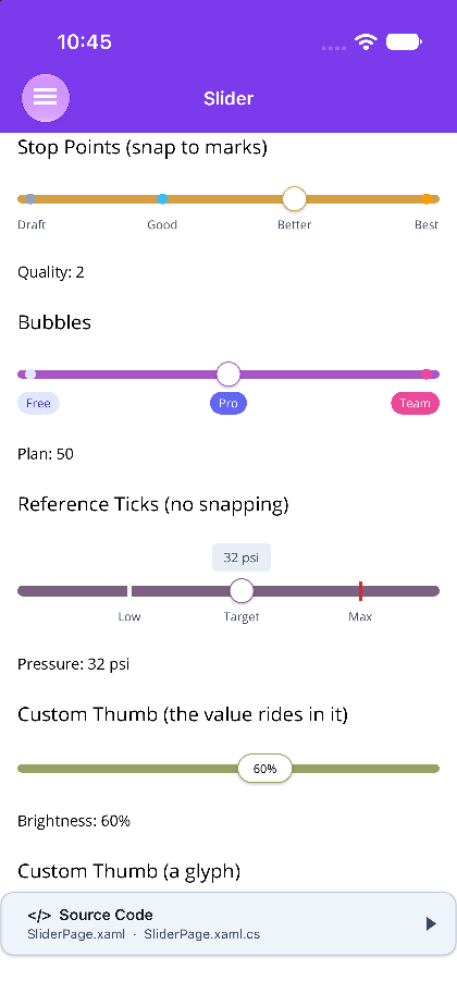 Snapping marks, bubble labels and reference ticks on .NET MAUI