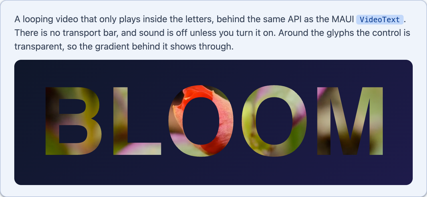 BLOOM auto-fitted across a gradient card, the video visible only inside the letters