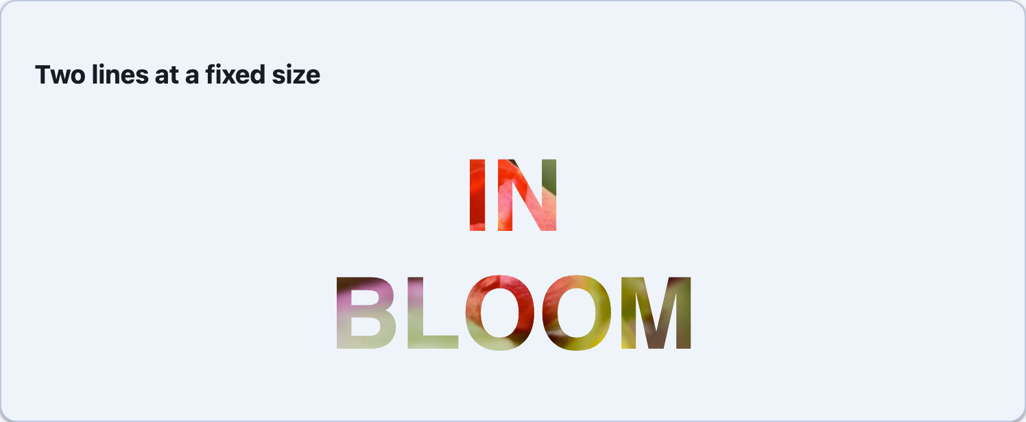 IN BLOOM on two centred lines at 72px